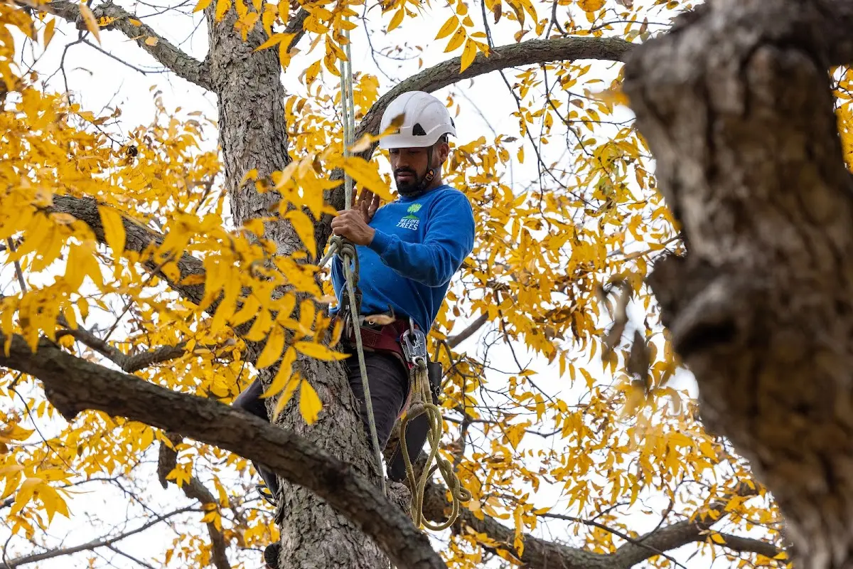 Skilled Storm Damage Cleanup crew working in Winona Lake