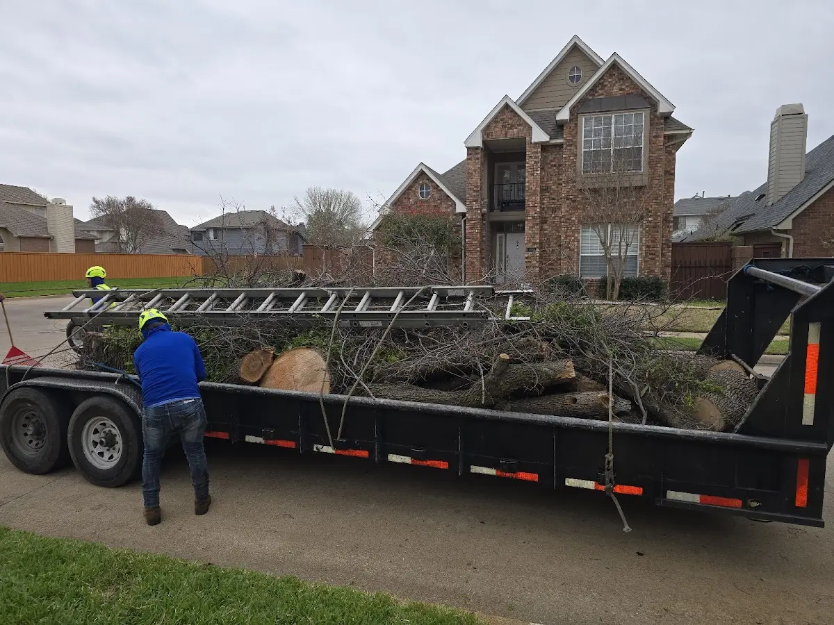 Expert Lot Clearing with proper safety equipment in Winona Lake